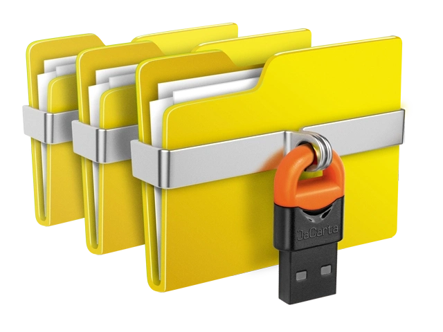 Secret Disk Professional 2026 318