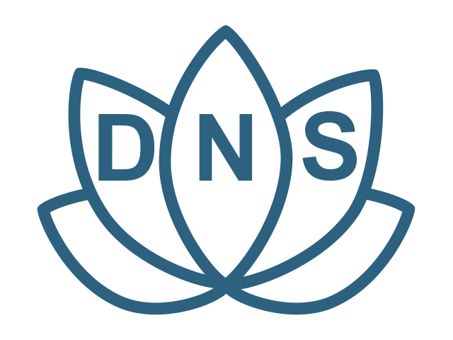 YogaDNS Pro 1.49