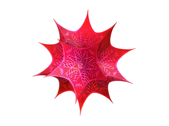 Wolfram Mathematica 15.0 + MacOS